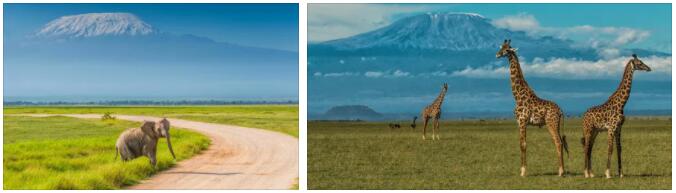 National Parks of Kenya