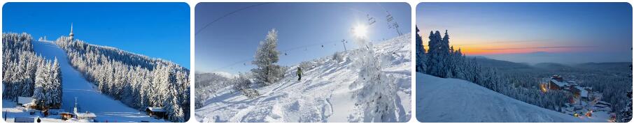 Winter Sports Areas, Bulgaria
